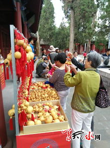 伏羲廟內(nèi)旅游商品熱銷 折射傳統(tǒng)谷物種植文化魅力