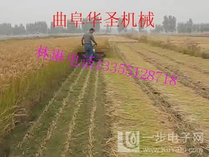 內(nèi)蒙古輪式谷物收割機(jī) 多種型號滿足谷物種植需求
