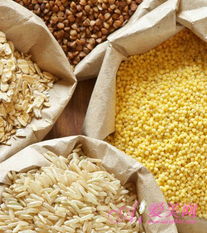 全谷物 防癌排毒之寶，亦需科學(xué)食用與可持續(xù)種植