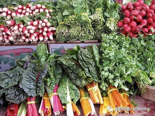 一年回本？有機模式可行？揭秘Eataly新版